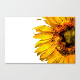 Simply a sunflower  Canvas Print
