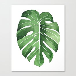 Monstera Leaf Canvas Print