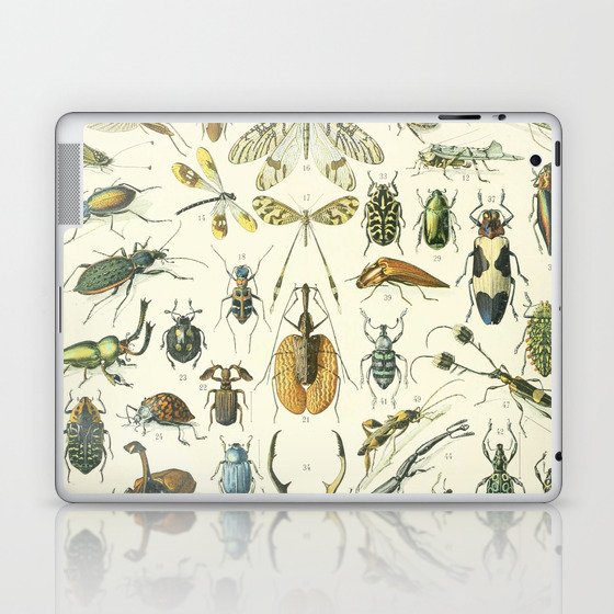 Vintage Insects Poster - Adolphe Millot Laptop & iPad Skin