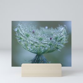 Wild carrot Mini Art Print