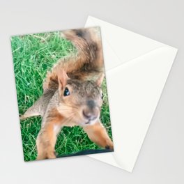 Squirrel Hug Stationery Cards