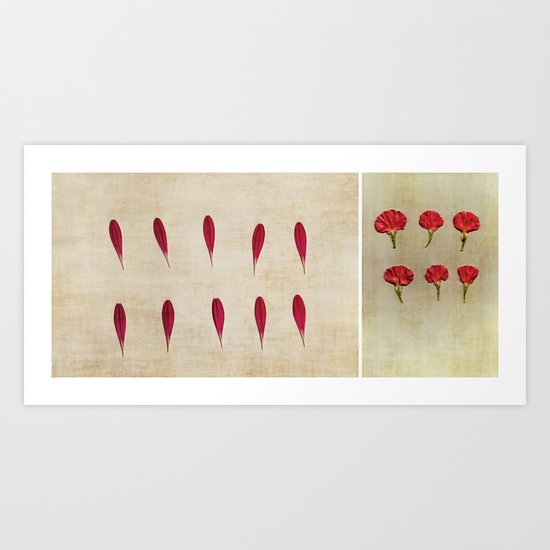 Petals Art Print