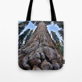Redwood big; redwoods of California; John Muir woods giant trees nature landscape color photograph / photography Tote Bag