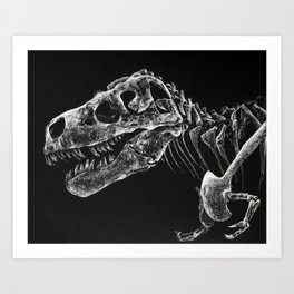 Tyrannosaurus Rex Skeletal Study Art Print