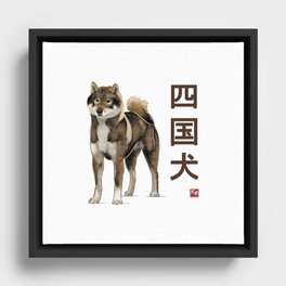 Dog Collection - Japan - Kanji Version - Shikoku-ken (#5) Framed Canvas