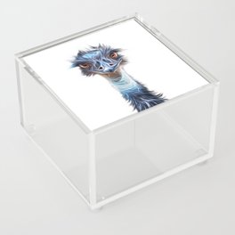 Luminous Emu Art Acrylic Box