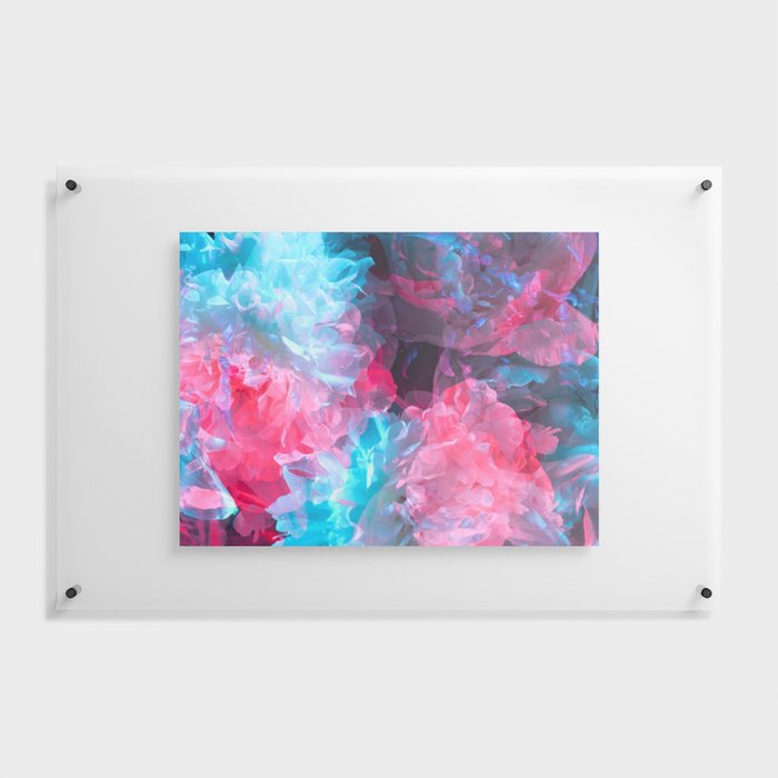 coloured peonies pink-blue Floating Acrylic Print