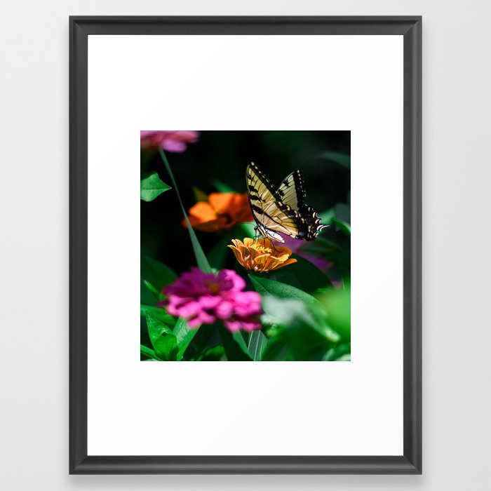 Beautiful Butterfly Framed Art Print