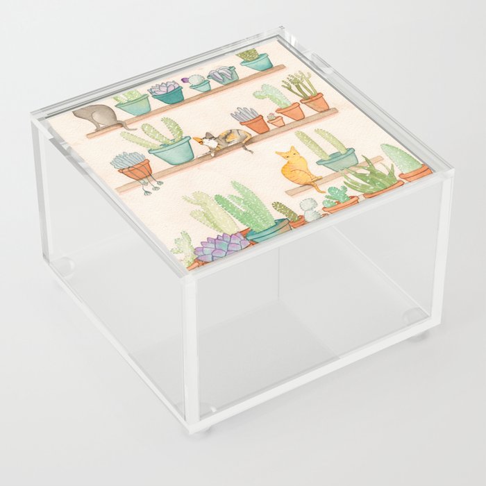 Cats in the Cactus Room Acrylic Box