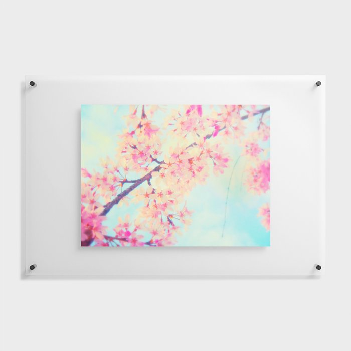Cherry blossoms Floating Acrylic Print