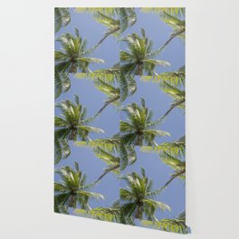 Palm trees Wallpaper