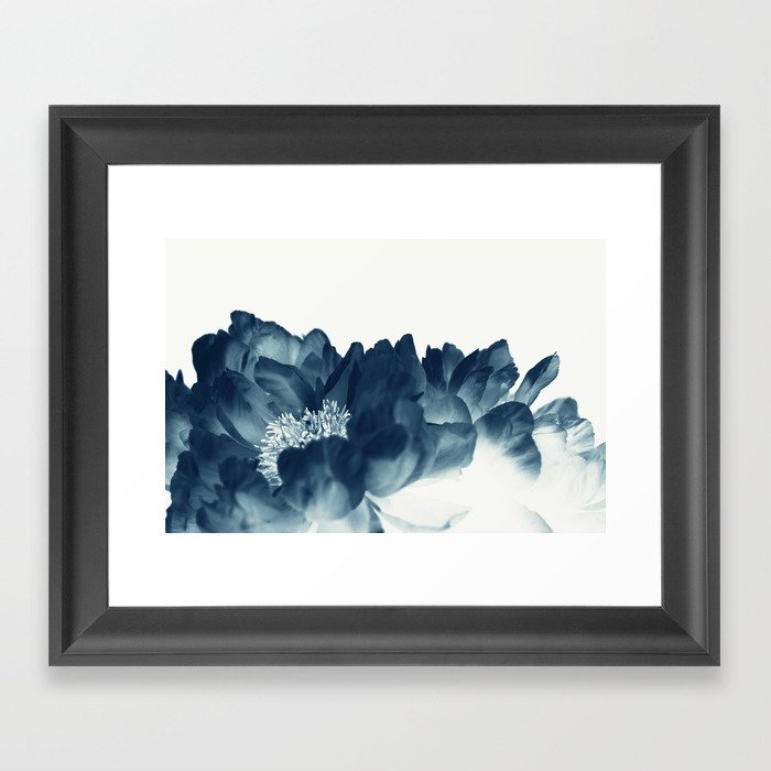 Blue Paeonia #1 Framed Art Print
