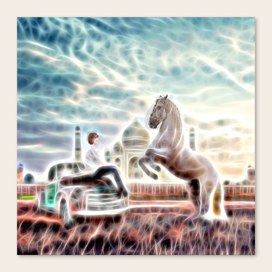 Dreams Canvas Print