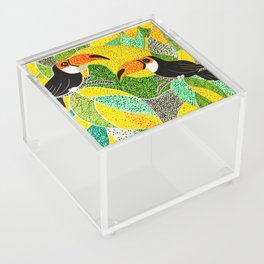 Tropical dot parrots Acrylic Box