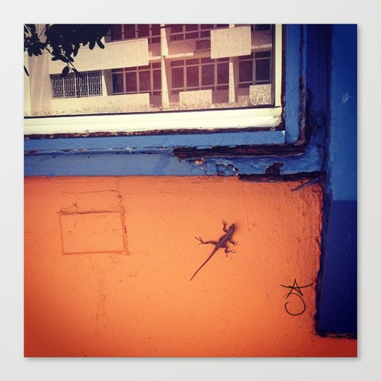 Lizard in Puerto Rico Canvas Print