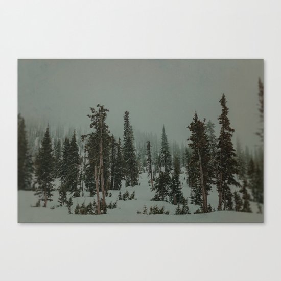 Winter Forest Canvas Print