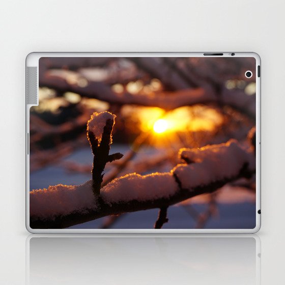 Winter Laptop & iPad Skin