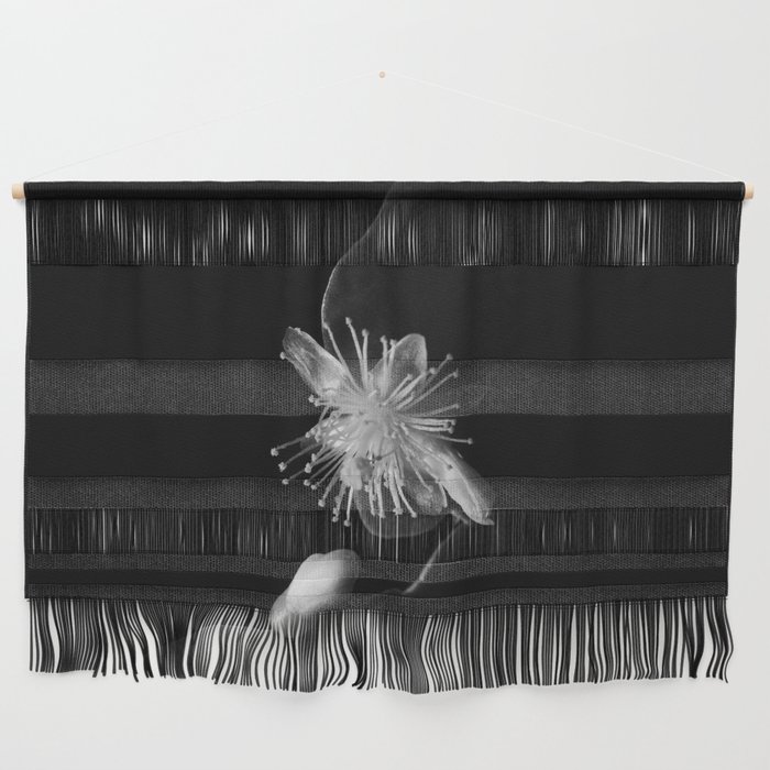 Minimalistic Black and white photography of a cactus flower Wall Hanging