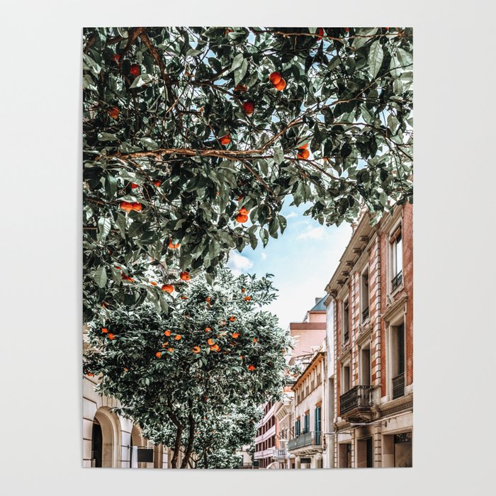 Orange Tree, Orange Fruits Print, Barcelona City Print, Oranges Art Print, Urban Travel Photography, Summer Tropical Print Poster