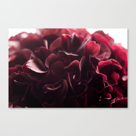 burgundy florals Canvas Print