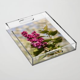 Lilac I Acrylic Tray