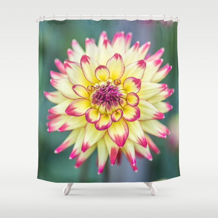 If In Shower Curtain