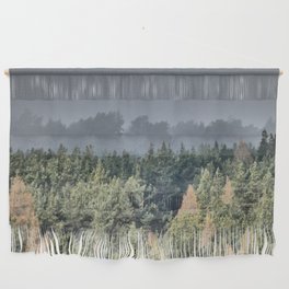  Scottish Highland Pine Forest in the Spring Rain in I Art Wall Hanging