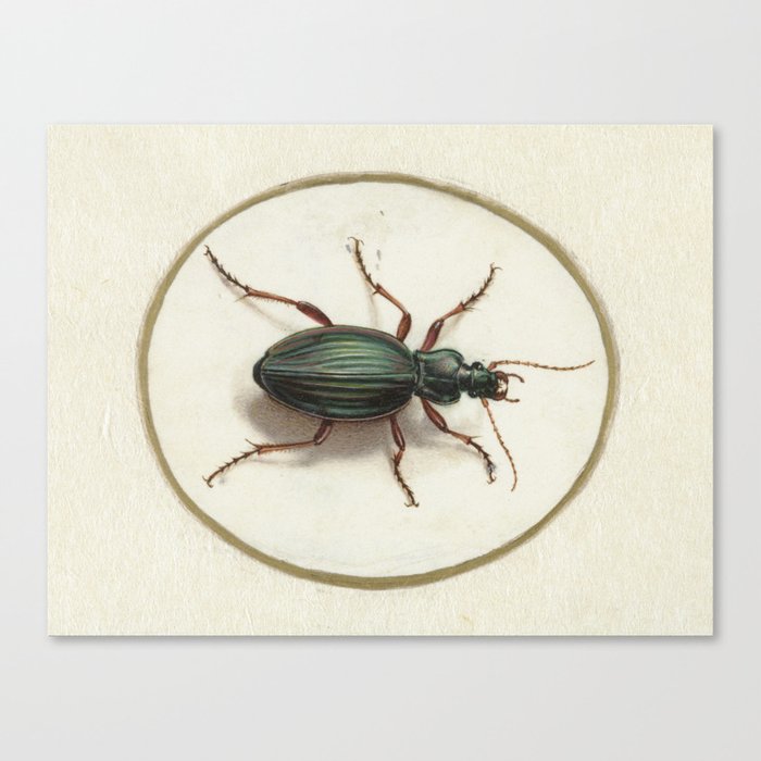 Canvas Print