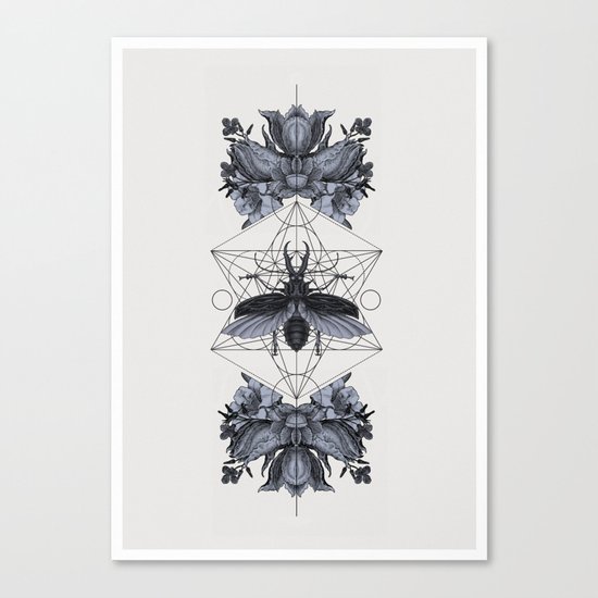 The Panoply Plate 05 Canvas Print