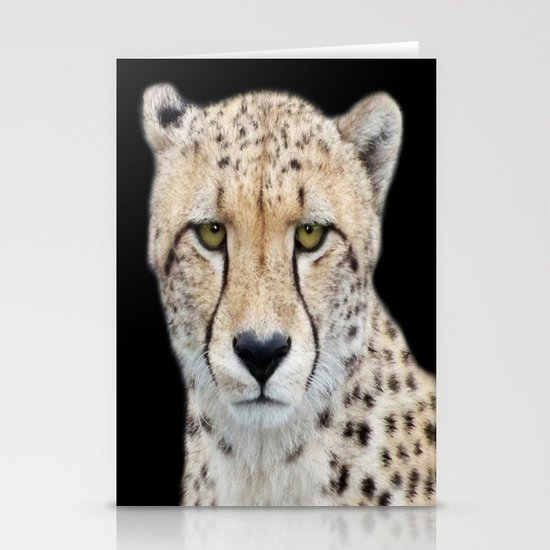 Cheetah Stationery Cards