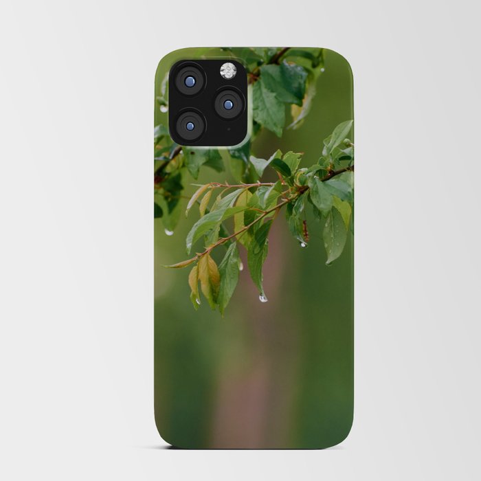 After Rain iPhone Card Case