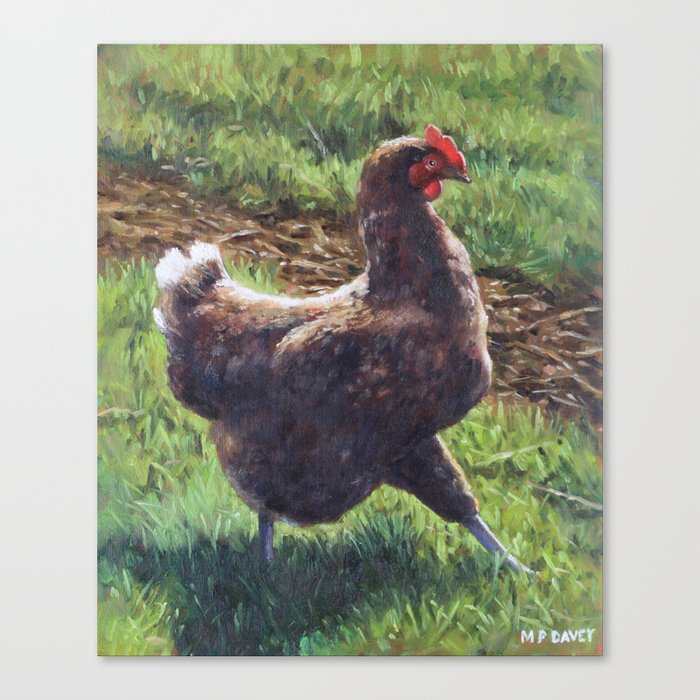 Single chicken walking around on grass Canvas Print