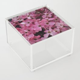 Pink Dogwood Blossoms Acrylic Box