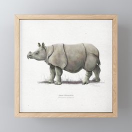 Javan rhinoceros scientific illustration art print Framed Mini Art Print