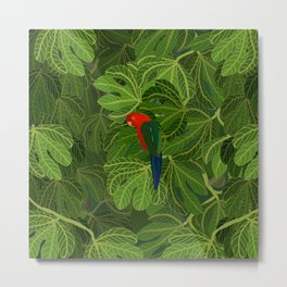 King Parrot in the Fig Tree Metal Print