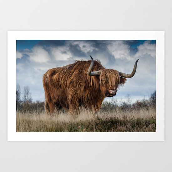 Highlander 1 Art Print