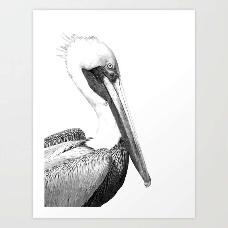 Black And White Pelican Art Print By Alemi Society6
