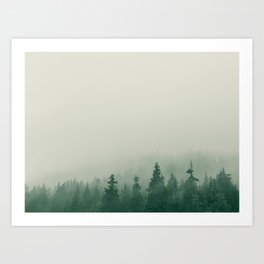 Foggy Forest - Trees Photography  No. 1 Art Print