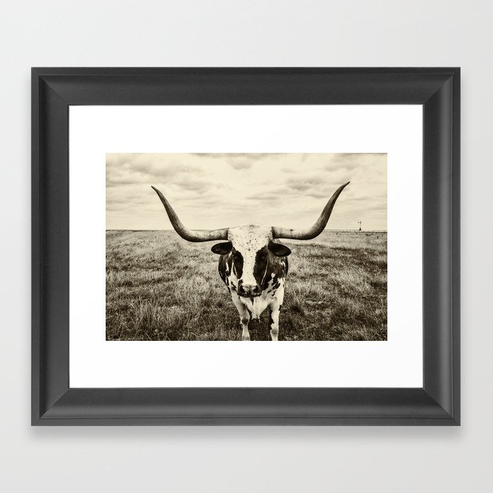 Lone Longhorn Framed Art Print
