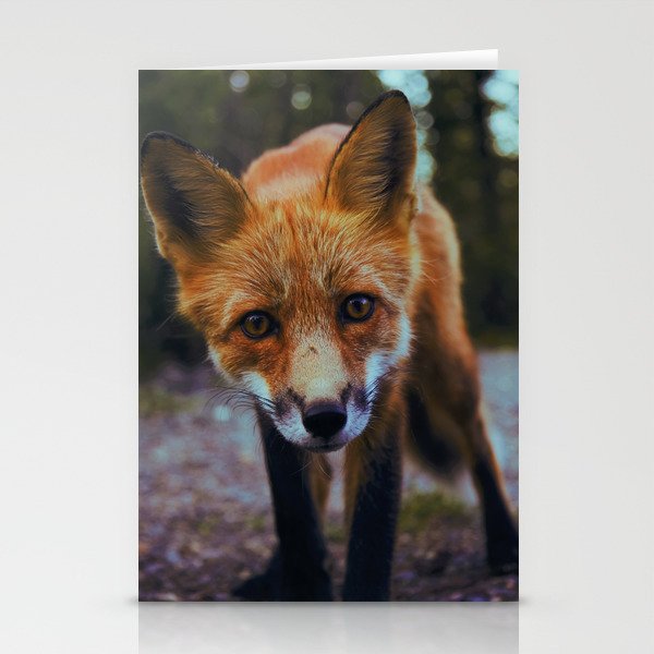 Cute Fox (Color) Stationery Cards