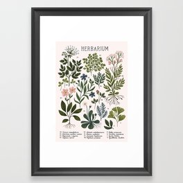Herbarium ~ vintage inspired botanical art print ~ white Framed Art Print | Curated, Anemonae, Botanical, Nature, Floral, Vintage, Painting, Floralart, Digital, Floralillustration 