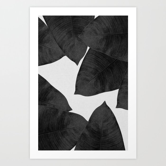 Banana Leaf Black & White II Art Print