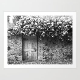Old Italian wall overgrown with roses Art Print