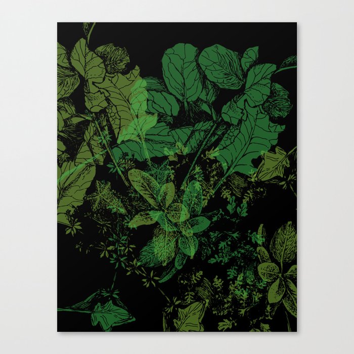Midnight Plants Canvas Print