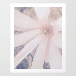 Muted Spring Blossom Art Print | Botanical, Floral, Digital, Photo 
