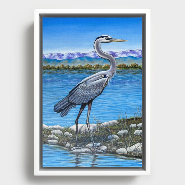 Great Blue Heron Rocky Mountain View Framed Canvas