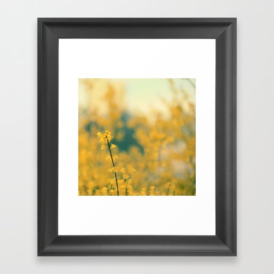Forsythia Framed Art Print