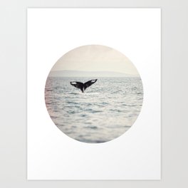 Humpback Whale Circle Photograph Art Print