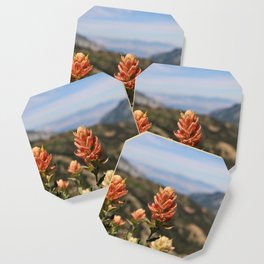 Valley behind the Flowers Coaster