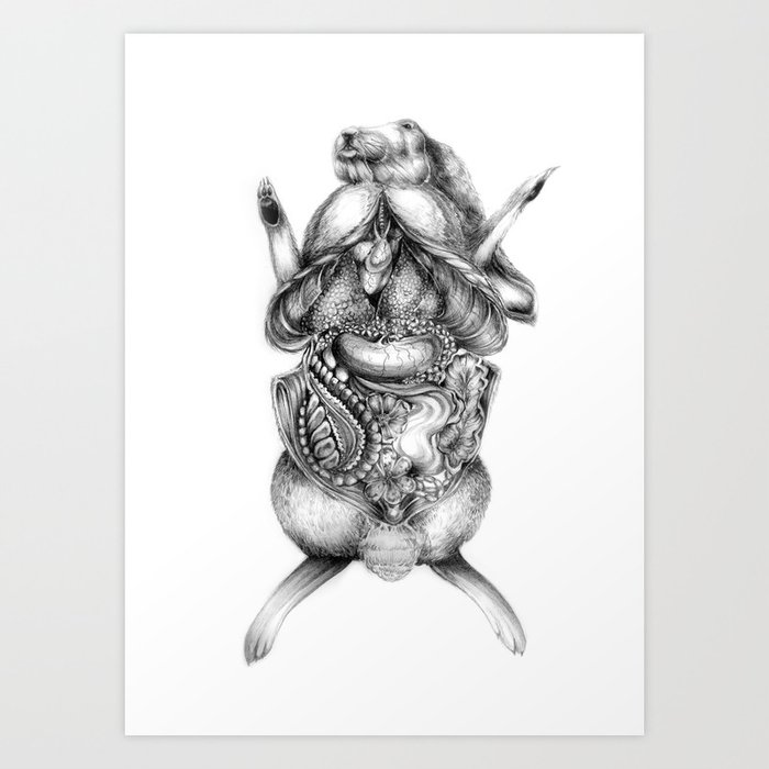 Rabbit Dissection Art Print